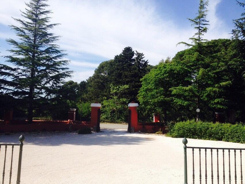 Agriturismo Il Castagnaro Villa Cozzana Exterior photo